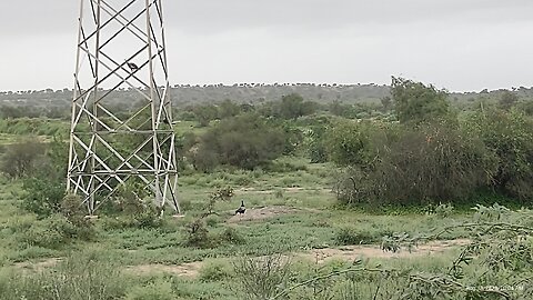 The harvest of our land is ready