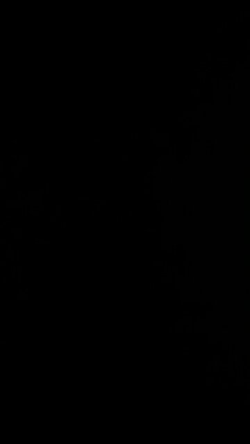 Fox News donates to planned parenthood and Satanic Temple!