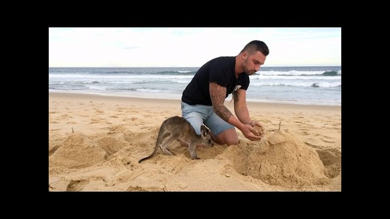 When Your Pet Kangaroo Is Your Best Friend