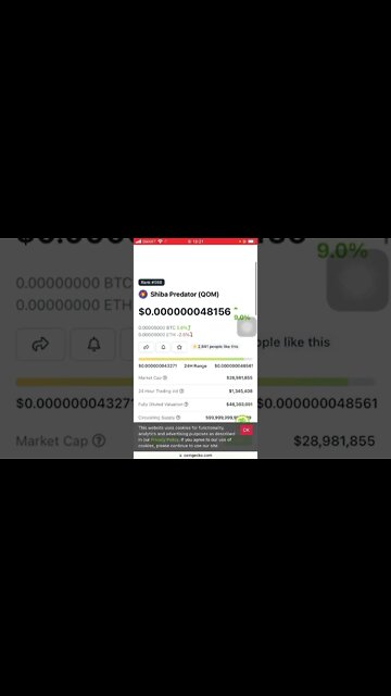 This Coin Is Posing To Flib $Shib Marketcap. Created By The Same Ryoshi? Listed On Huobi & OkX!