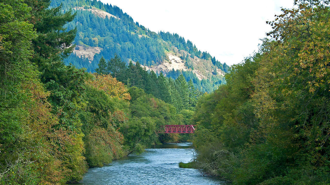 Relaxing Stress Relief Music