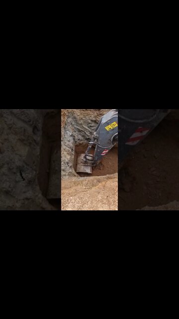 #shorts #2022 funny,prank,funjokes,dad jokes,funny memes,funny video,fun,laughing,funny animal,knock