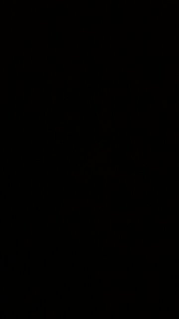 Same circus, different clown 🤡