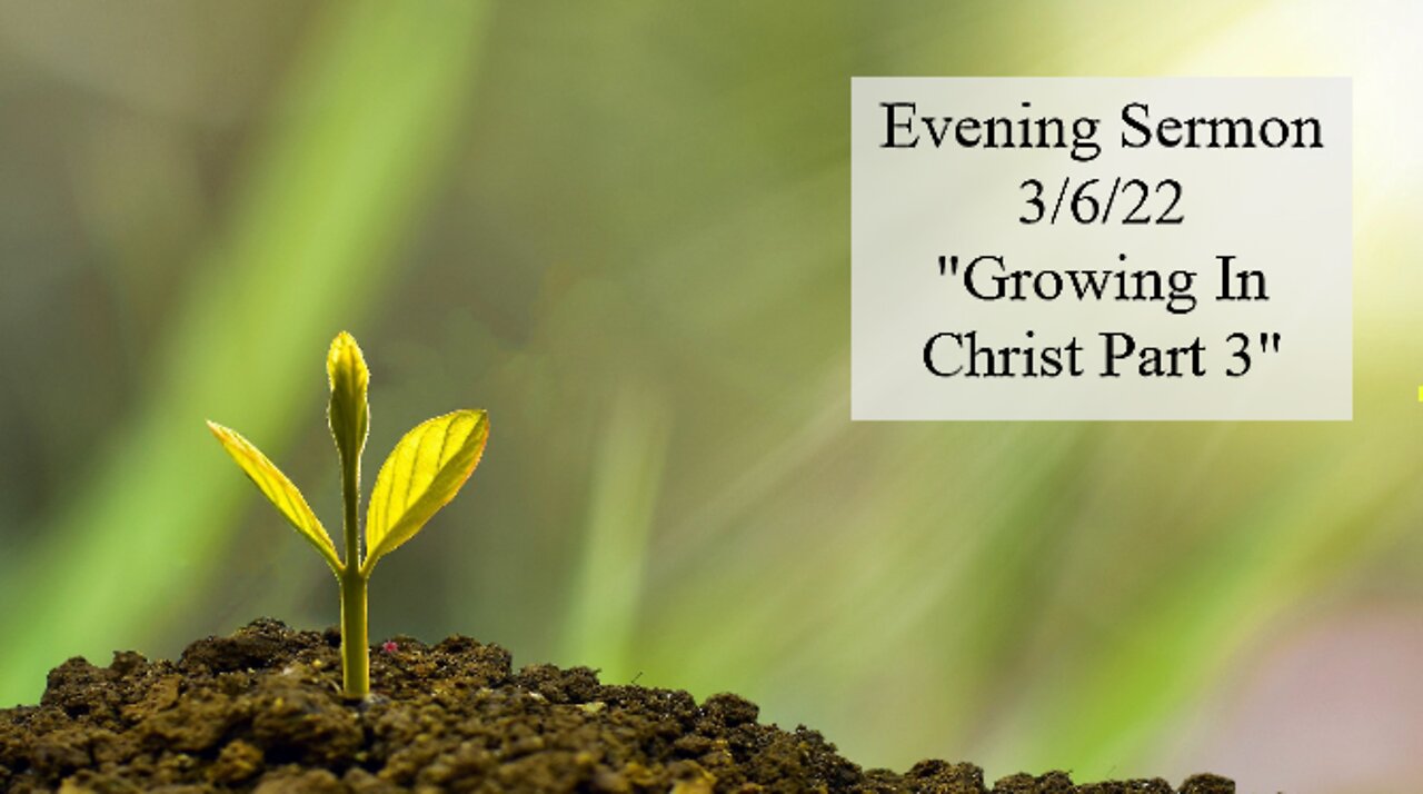 Growing In Christ Part 3 - Peter Metzger