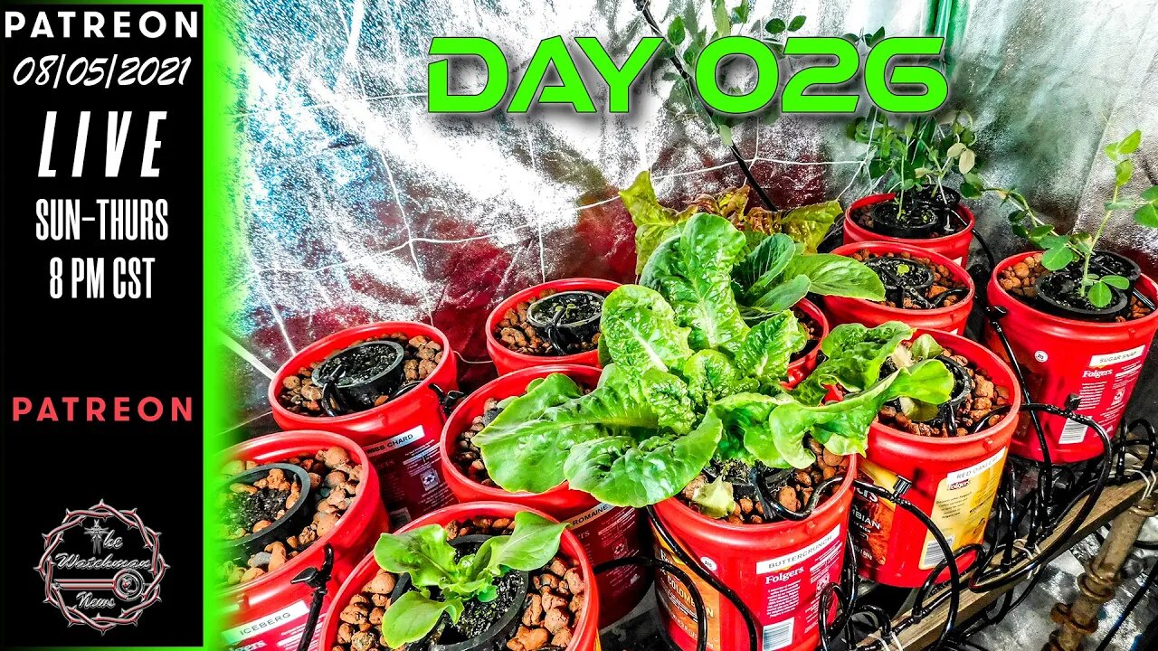 The Watchman News - Day 026 Daily VLOG - Apartment Size Indoor Economic Hybrid Hydroponic Gardening
