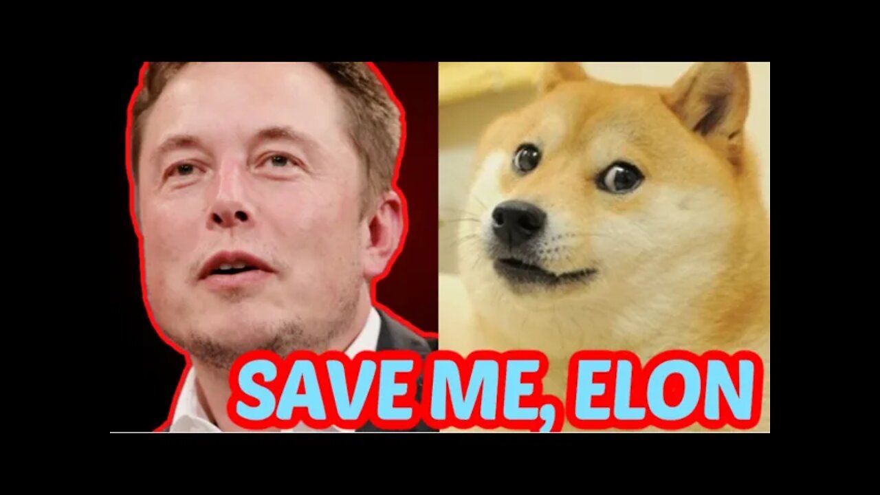 Elon Musk Saves Dogecoin