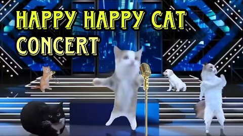 happy happy happy cat concert