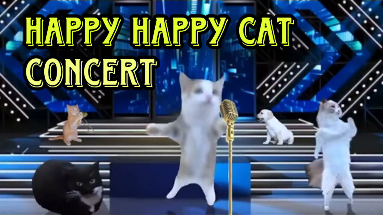 happy happy happy cat concert