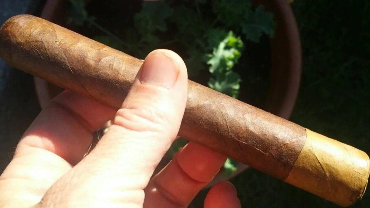 Don Corleone Chaggy Cigar Review