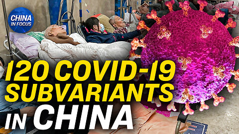 120 Subvariants of COVID-19 Discovered in China; Next Wave in May or June: Expert