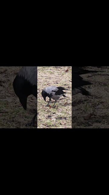 What's wrong with her?