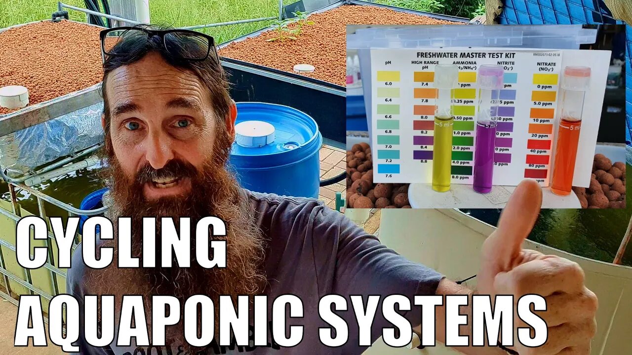 How to Cycle An Aquaponics System