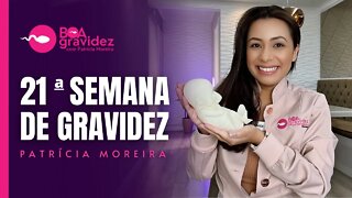 21 SEMANAS DE GRAVIDEZ - Gravidez Semana a Semana (atualizado)