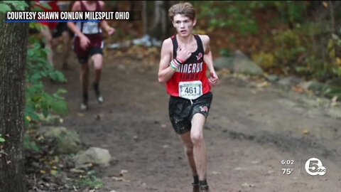 Student struck, killed by falling tree after cross-country meet