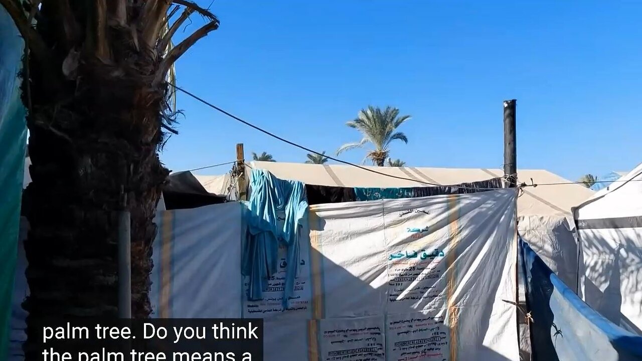 Gaza Current Daily Routine Displaced Family in Tents 10-26-24