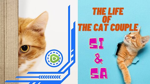 The Life of The Cat Couple Si & Sa