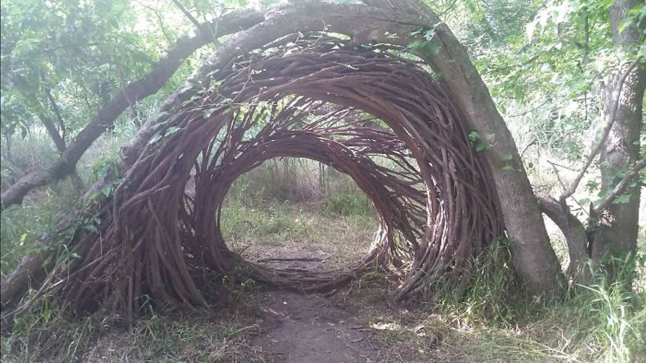 Woman Made An Incredible Discovery After Finding This Deep Within Woods