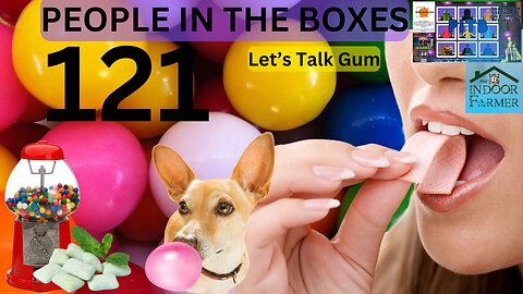 People In the Boxes ep 121, Do You Still Chew? Are There Any Healthy Kinds? Lets Talk Gum