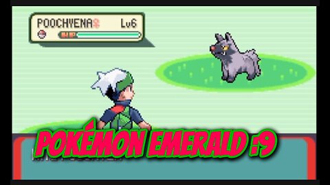 Pokémon Emerald:9