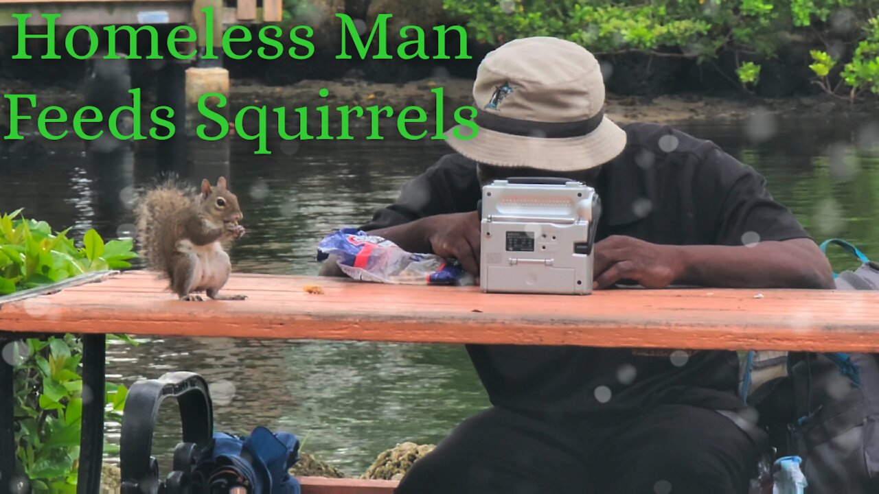 Homeless Man Feeding Squirrels