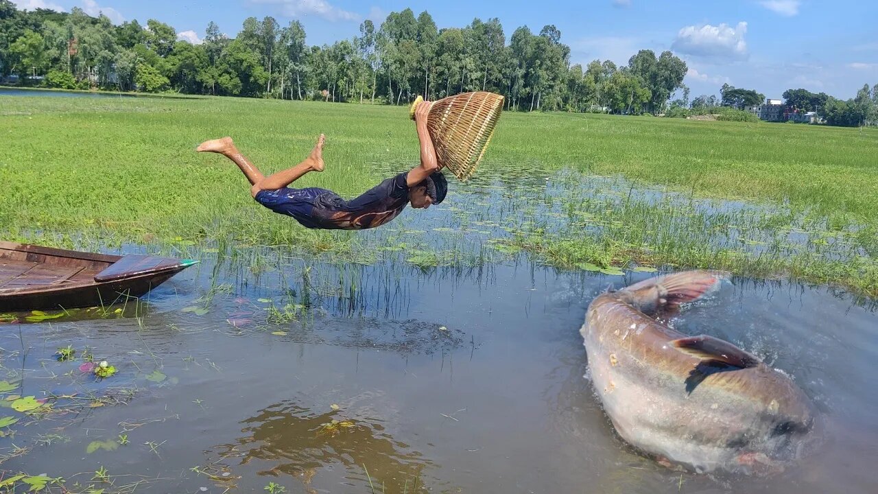 Best Fishing Video 2023! Unique Fish Catching