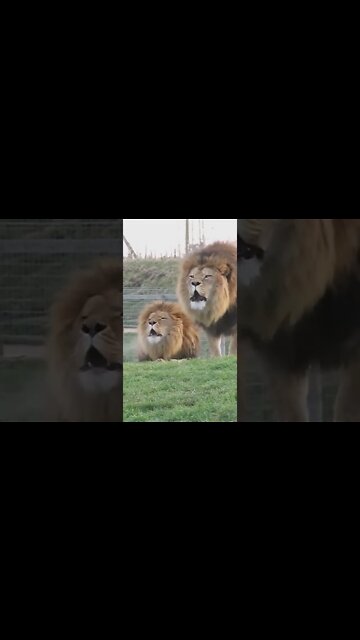 BTC na Malha fina do Fisco.