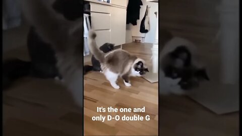 It's the one and only D-O double G #shorts