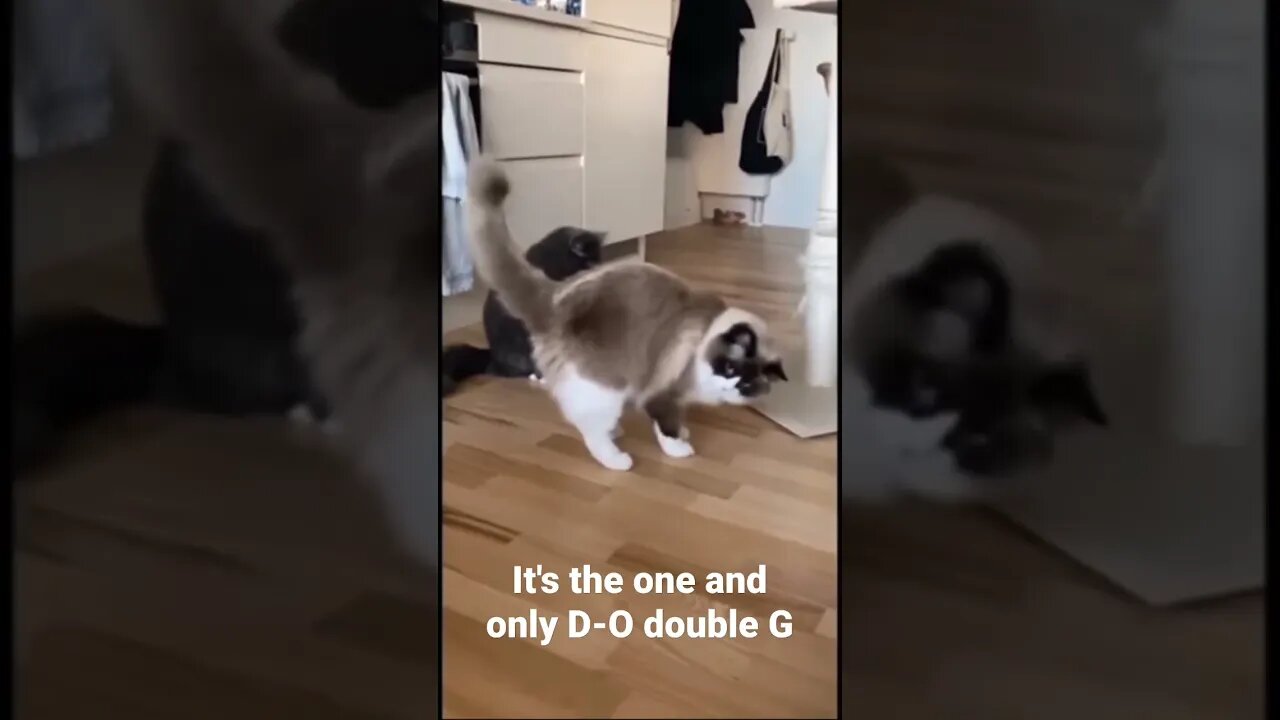 It's the one and only D-O double G #shorts