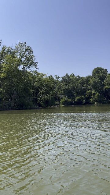 Eagle in flight Ohio river