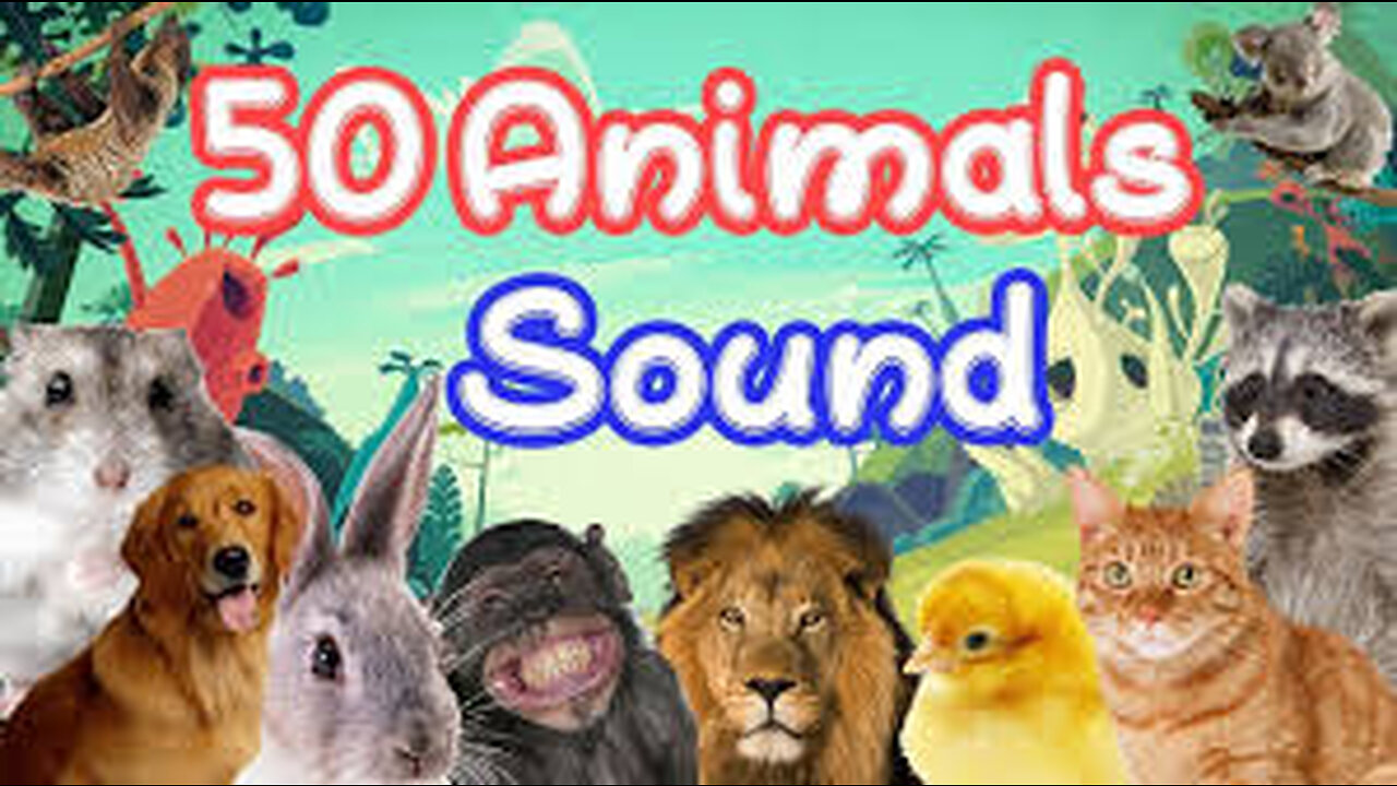 Animal sounds for children