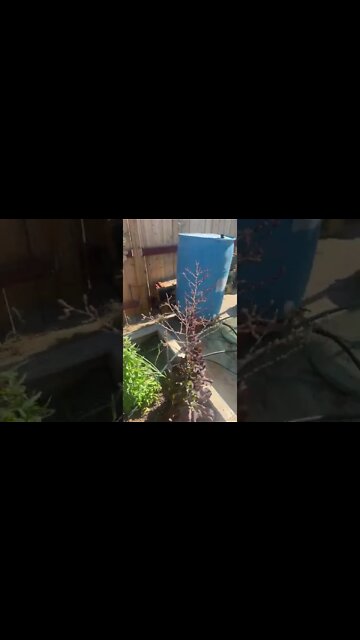 Slow and steady and we’ll get there