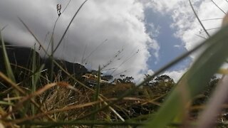 SOUTH AFRICA - Cape Town - SANParks Media Demonstration (Video) (Lff)