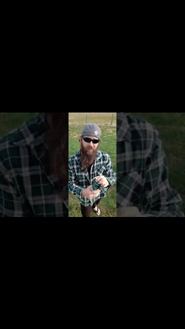 Moose Head Lager #moosehead #ohhighbud #strangedanimal