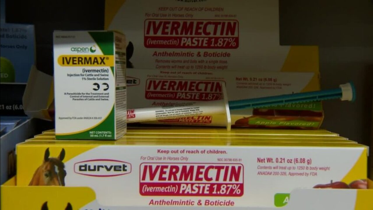 How I treated Covid 19 with Ivermectin Horse Dewormer