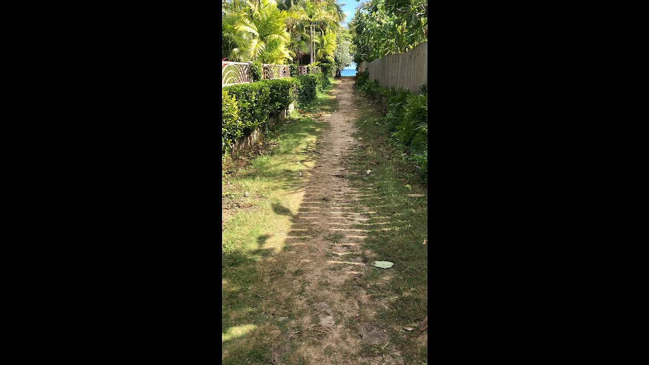 Surf the passive income wave