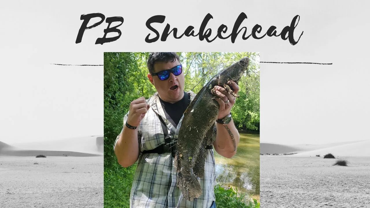 Personal Best Snakehead! #Northernsnakehead #Marylandsnakehead #Patapscoriversnakehead