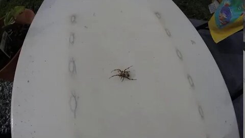 Summer time here in the South