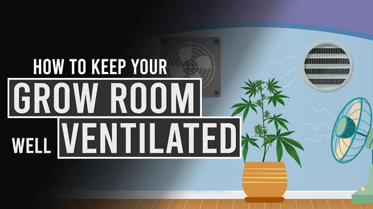 How to keep your Cannabis Grow-Room well Ventilated!