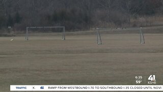 ocal man wants WMSL fields in shape come World Cup in 2026