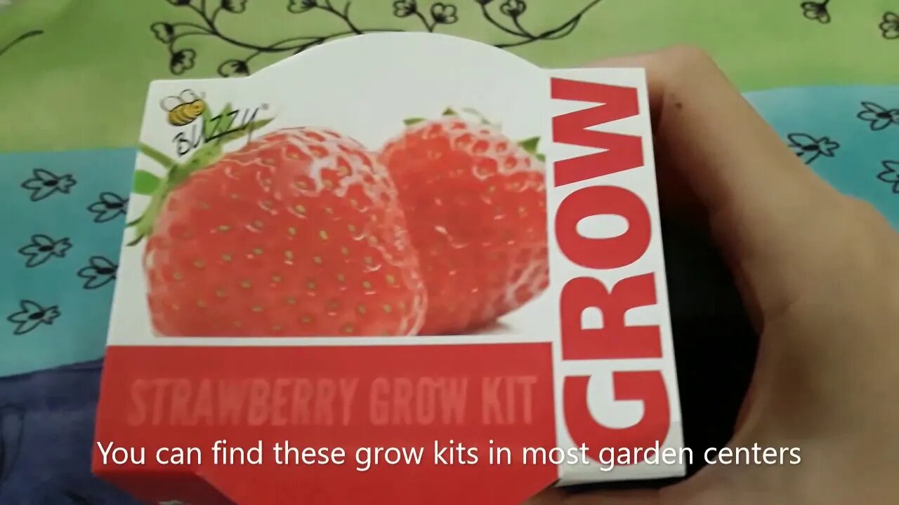 Grow Strawberries with Strawberry Grow Kit =)