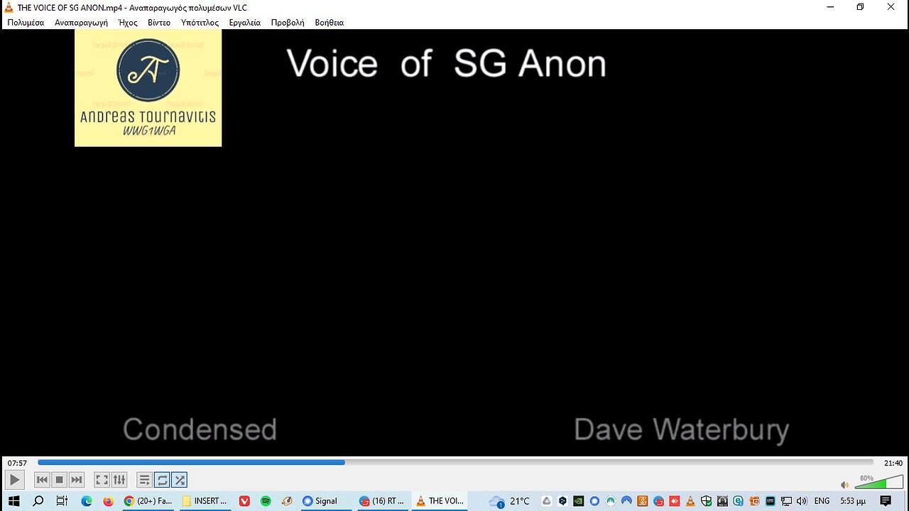 THE VOICE OF SG Anon