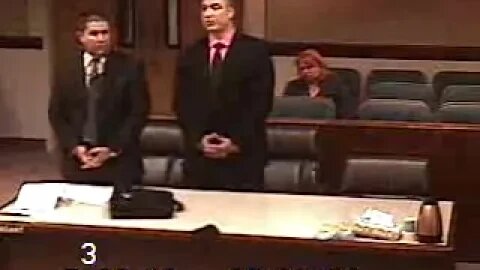 Peterson matter in front of Clark County Family Court Judge Cheryl Moss 7/29/13 part 1