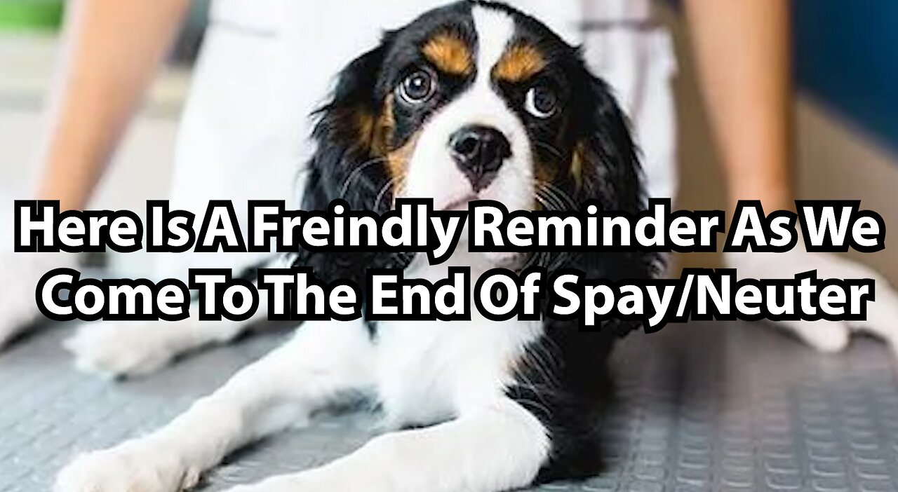 Here Is A Freindly Reminder As We Come To The End Of Spay/Neuter