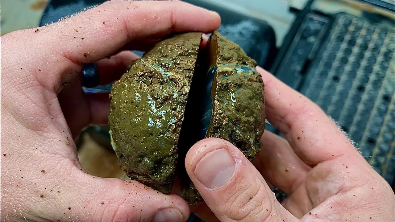 I cut 6 Thunder Eggs to see what's hiding inside!