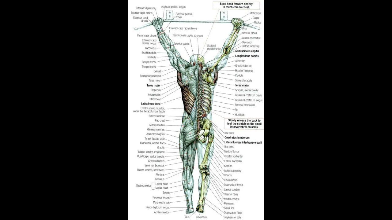 IST Health Tip of the Day! Why Do I have Achy Joints?