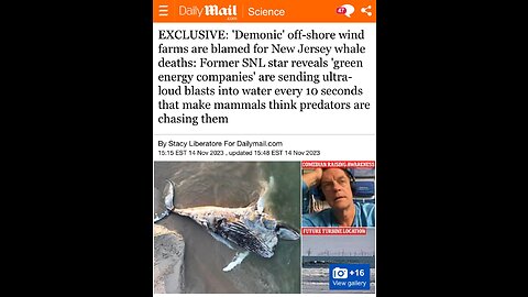Sonar from “Green Companies” may be responsible for whale deaths