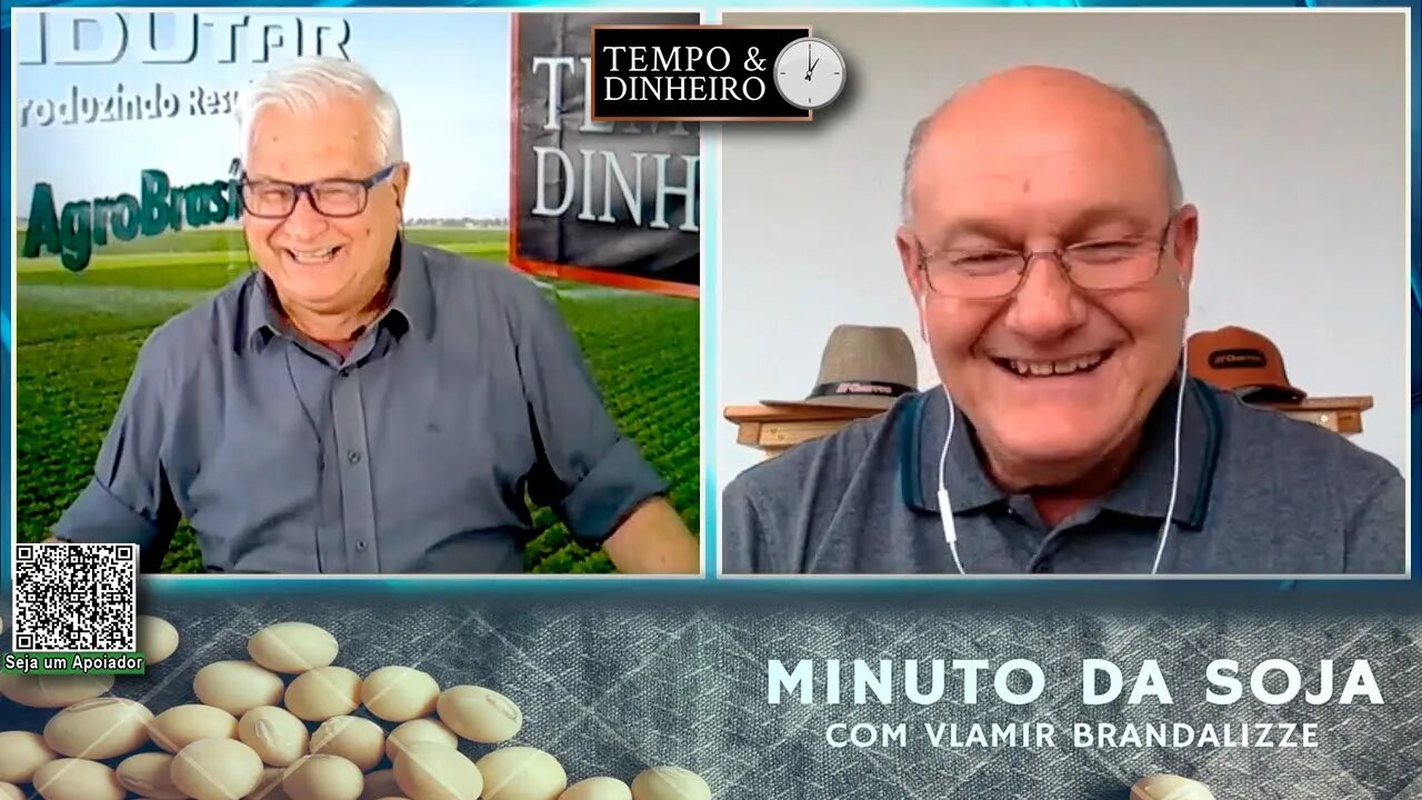 Milho escapou da geada nesta terça-feira