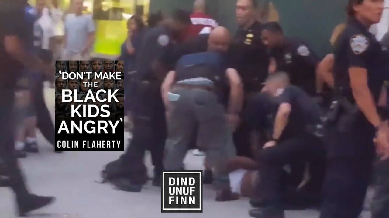 Colin Flaherty: Cops Pick On 12 Blacks For No Reason What So EVA 2017 Dindunuffin