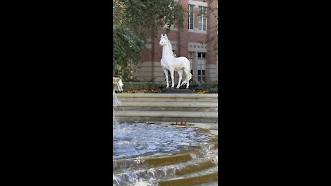 Trojan Horse of USC