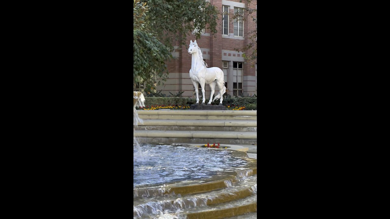 Trojan Horse of USC